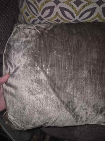 Photo of free Round Chair (Rawmarsh S62) #4