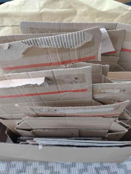 Photo of free Card and padded envelopes (Hale WA15) #2