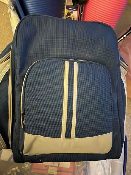 Photo of free High end picnic backpack (Bermondsey SE16) #1