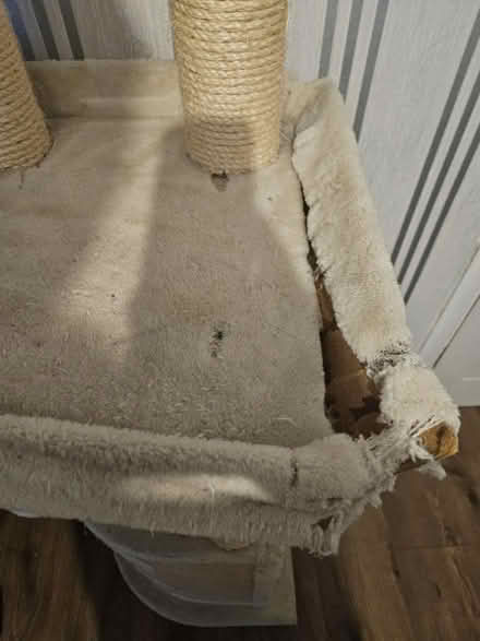 Photo of free Cat tower (Burnage M19) #2