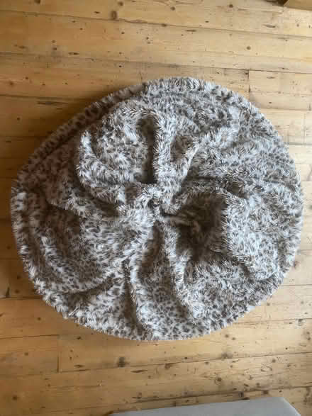 Photo of free Two full size beanbags (South Bank SE1) #2