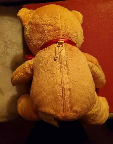 Photo of free Teddy bear (NW10) #2