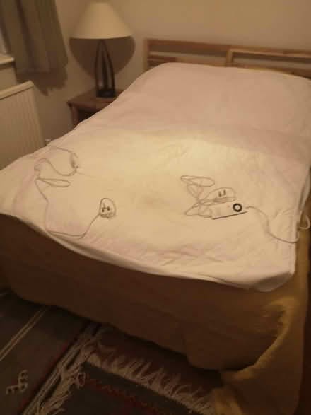 Photo of free Double bed-sized electric blanket (West Malvern CP WR14) #1