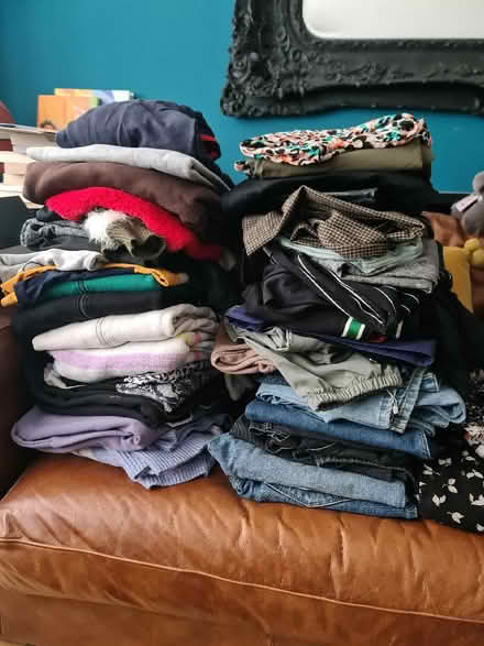Photo of free Women's clothes bundle (Tolworth KT6) #1