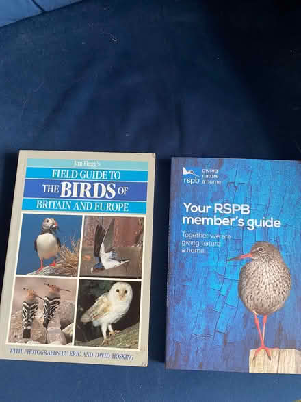 Photo of free British bird books (Odd Down) #1