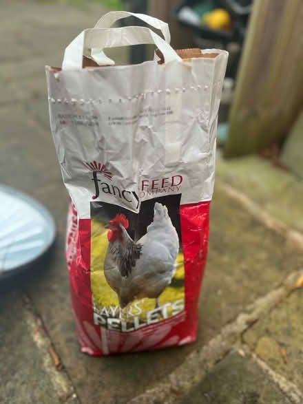 Photo of free Chicken feed (M33 near Sale Grammar School) #3