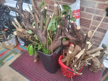 Photo of free Fire wood (Northampton rectory farm) #1