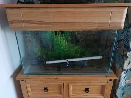 Photo of free Fish tank (Sutton Coldfield, B73) #1