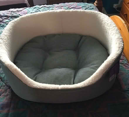 Photo of free Dog bed (Sheldon B26) #1