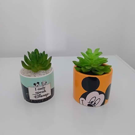 Photo of free Artificial plant decorations (Carlyon Bay PL25) #1