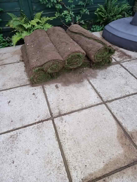 Photo of free Lawn turf (Whyteleafe, CR3) #1