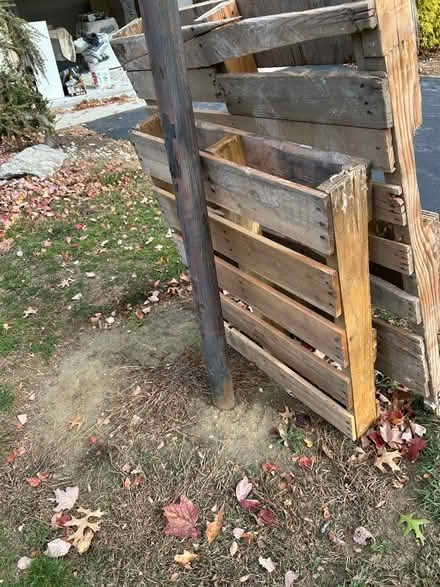 Photo of free 2 pallets (Little Silver) #1