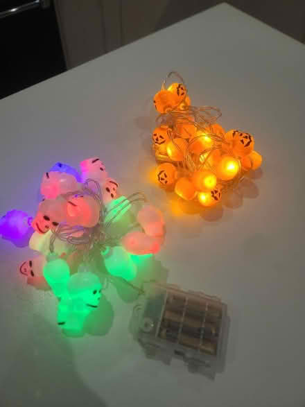 Photo of free Halloween lights (Hampton) #1