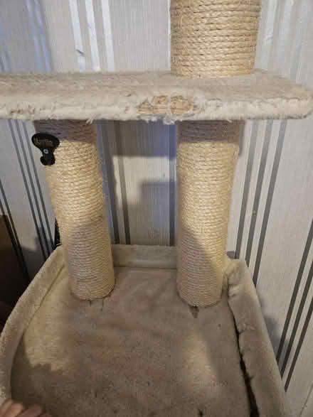 Photo of free Cat tower (Burnage M19) #3