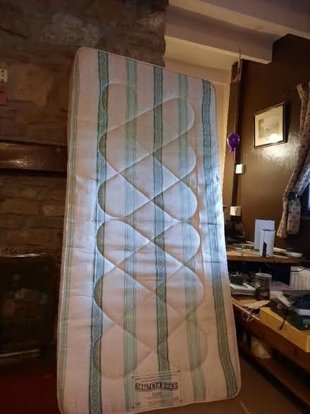 Photo of free Single mattress (Crickheath SY10) #1