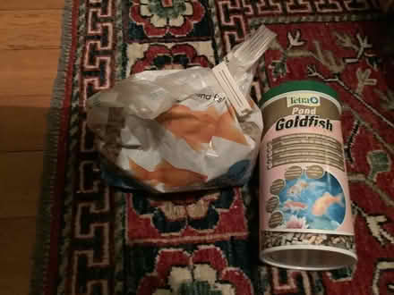 Photo of free Fish food (Shortlands, Bromley, BR2) #1