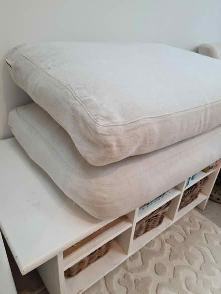 Photo of free Two large sofa cushions (SW12 Balham) #1