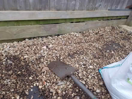 Photo of free stones (SN2) #1