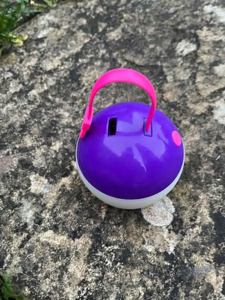 Photo of free LED Camping Light (Radstock) #1