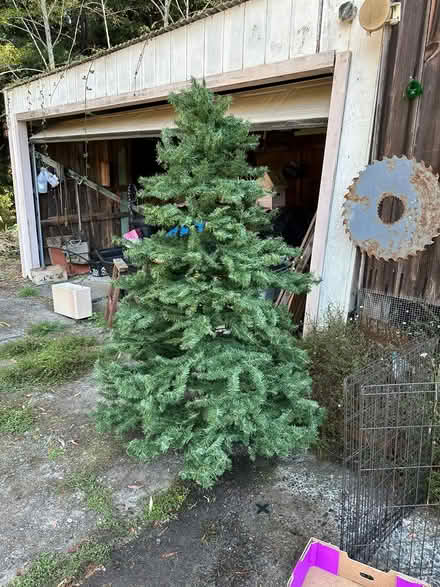 Photo of free Artificial Christmas tree (Eureka near St Joes) #3