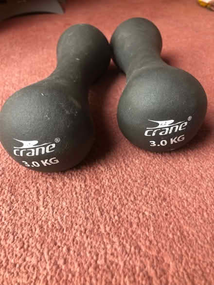 Photo of free 2x 3kg dumbells (Broadclyst) #1