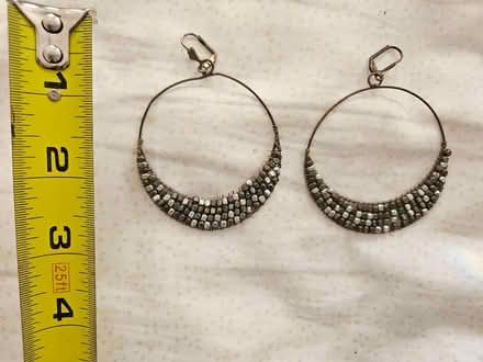 Photo of free hoop earrings (Roxbury) #3