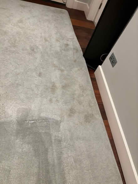 Photo of free Large grey rug (Rathgar Dublin 6) #3