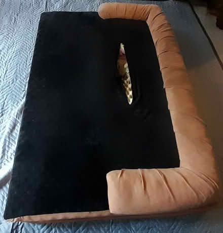 Photo of free Thick Orthopedic Dog Bed w/Bolster (East San Rafael) #1