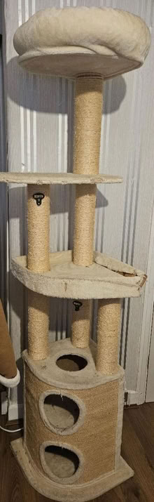 Photo of free Cat tower (Burnage M19) #1