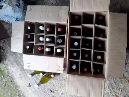Photo of free 31 green-glass wine bottles (Bowbridge GL5) #1