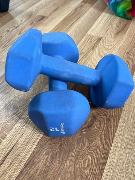 Photo of free Reebok 12 LB Weights (Blue) (Chadds Ford/Garnet Valley) #1