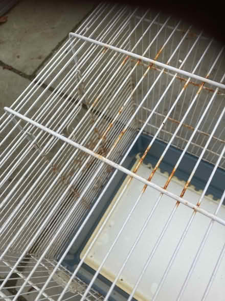 Photo of free Bird cage (Wickford) #2