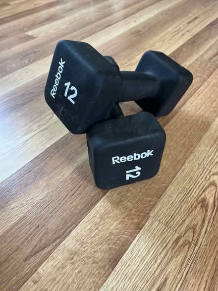 Photo of free Reebok 12 LB dumbbells (Black) (Chadds Ford/Garnet Valley) #1
