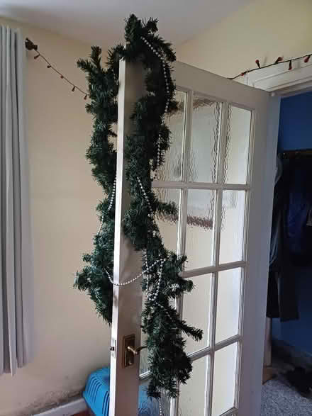 Photo of free Christmas decorations (Trewoon) #2