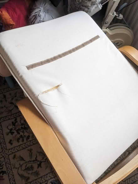 Photo of free Poang chair (Alton) #2