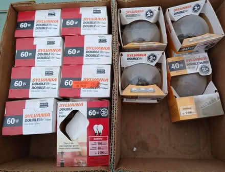 Photo of free Incandescent lightbulbs (Hurley (loop road off of 209)) #3
