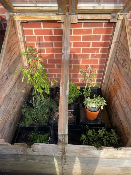 Photo of free Cold Frame 1200x1200 (Nunnery Wood WR5) #4