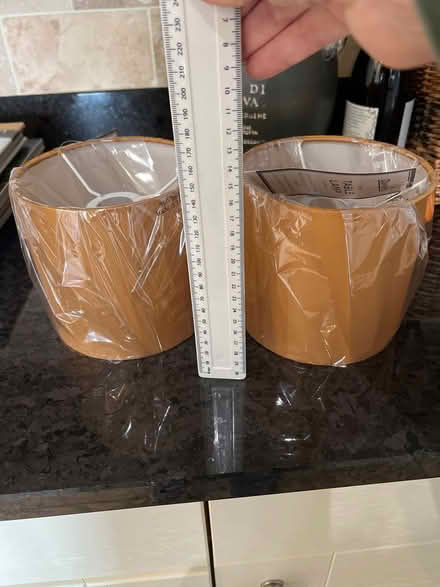 Photo of free Two small lamp shades (LE17 Lutterworth) #1