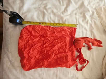 Photo of free squirrel bag (Roxbury) #3