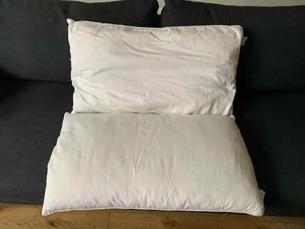 Photo of free John Lewis Feather & Down Pillows (Ewell, KT19) #1