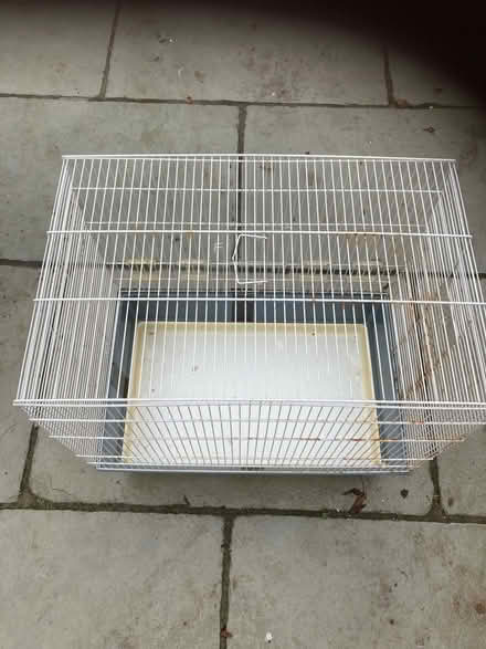 Photo of free Bird cage (Wickford) #1