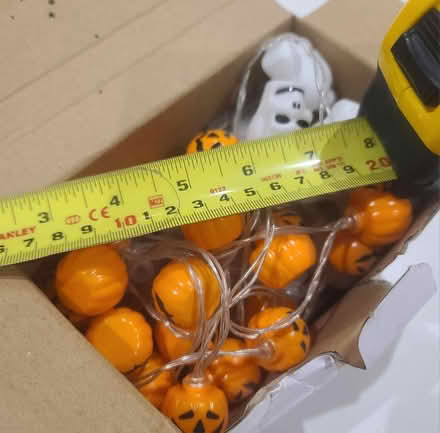 Photo of free Halloween lights (Hampton) #3