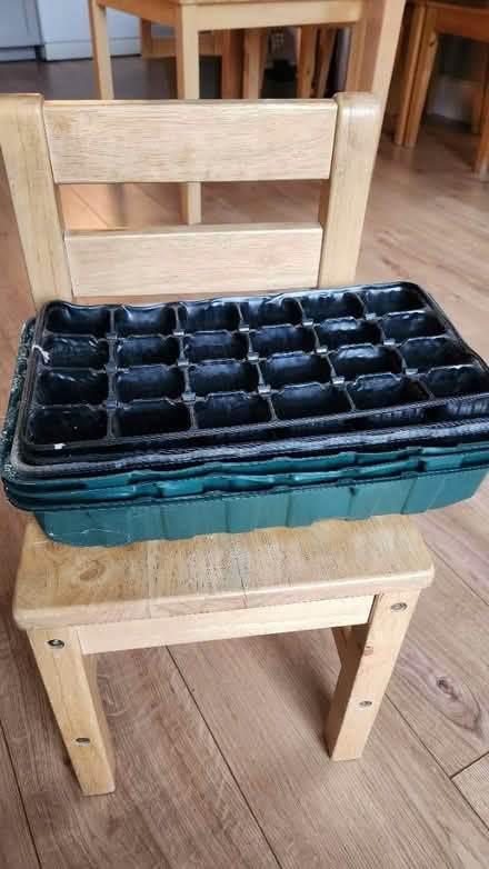 Photo of free Plant propogators (SW16) #1