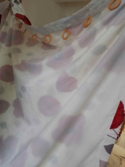 Photo of free White and red floral curtains (L6) #2