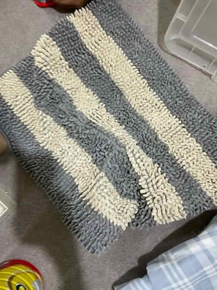 Photo of free Bath mat (SE28) #1