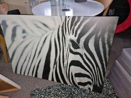 Photo of free Large IKEA Zebra Canvas (Edinburgh EH4) #1