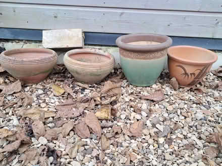 Photo of free Pots (SG8) #1