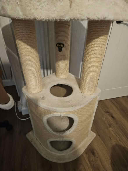 Photo of free Cat tower (Burnage M19) #4