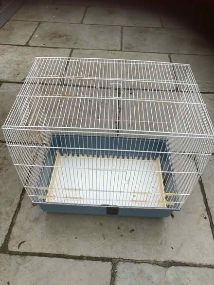 Photo of free Bird cage (Wickford) #3