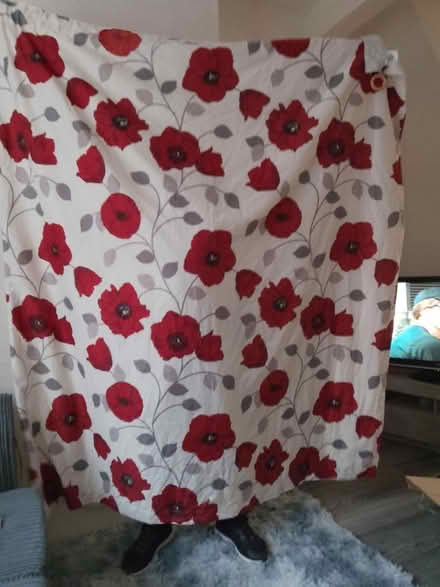 Photo of free White and red floral curtains (L6) #1